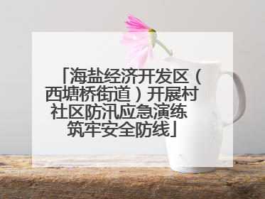 海盐经济开发区（西塘桥街道）开展村社区防汛应急演练 筑牢安全防线