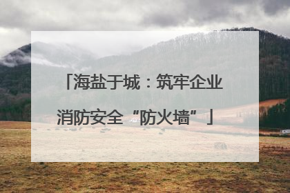 海盐于城：筑牢企业消防安全“防火墙”