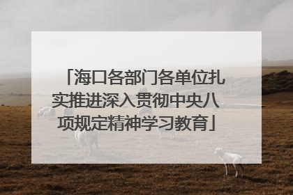 海口各部门各单位扎实推进深入贯彻中央八项规定精神学习教育