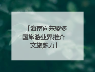 海南向东盟多国旅游业界推介文旅魅力
