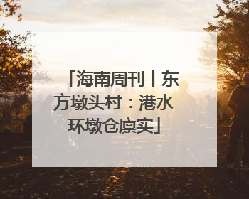 海南周刊丨东方墩头村：港水环墩仓廪实