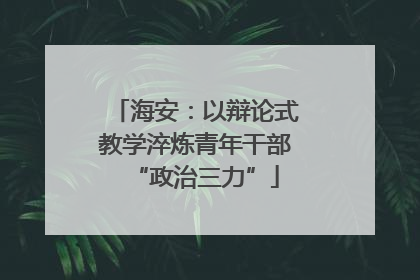 海安：以辩论式教学淬炼青年干部“政治三力”