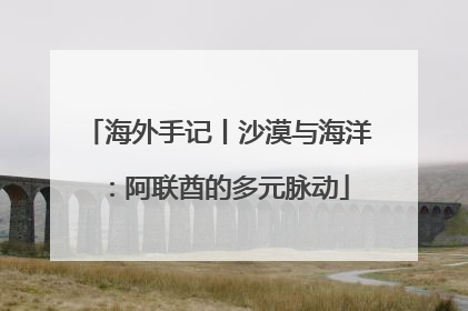 海外手记丨沙漠与海洋：阿联酋的多元脉动