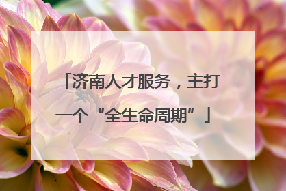 济南人才服务，主打一个“全生命周期”