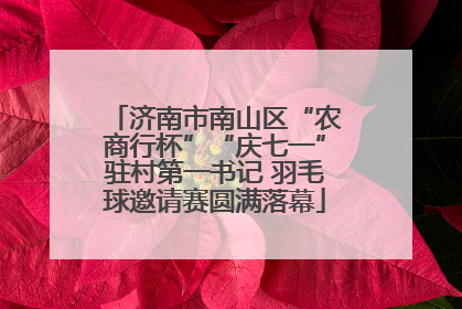 济南市南山区“农商行杯”“庆七一”驻村第一书记 羽毛球邀请赛圆满落幕