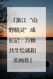 浙江“山野精灵”成长记：万物共生绘就和美画卷