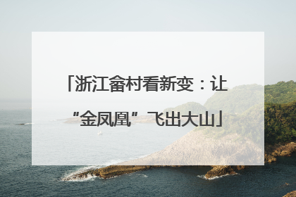 浙江畲村看新变：让“金凤凰”飞出大山