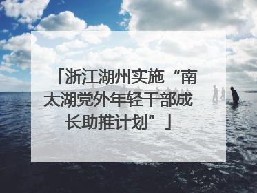 浙江湖州实施“南太湖党外年轻干部成长助推计划”