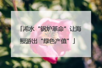 浠水“锅炉革命”让海鳗游出“绿色产值”