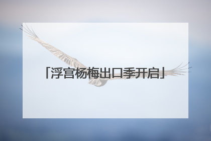 浮宫杨梅出口季开启