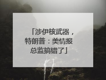 涉伊核武器，特朗普：美情报总监搞错了