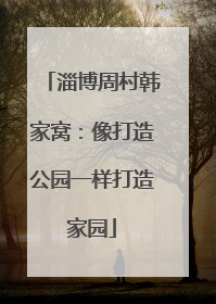 淄博周村韩家窝：像打造公园一样打造家园
