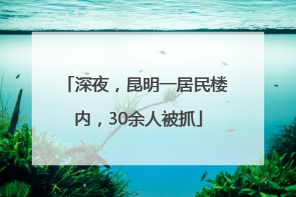 深夜，昆明一居民楼内，30余人被抓