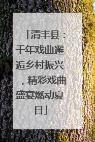 清丰县：千年戏曲邂逅乡村振兴，精彩戏曲盛宴燃动夏日