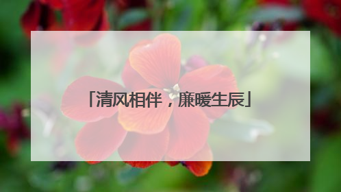 清风相伴，廉暖生辰
