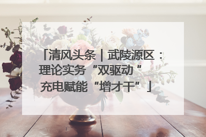 清风头条｜武陵源区：理论实务“双驱动 ” 充电赋能“增才干”