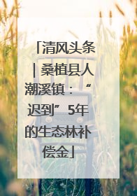 清风头条｜桑植县人潮溪镇：“迟到”5年的生态林补偿金