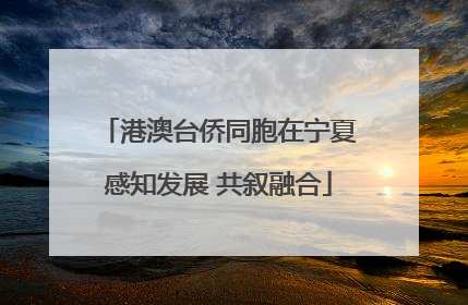 港澳台侨同胞在宁夏感知发展 共叙融合