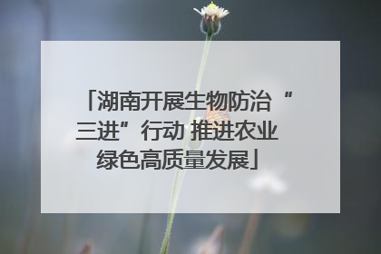 湖南开展生物防治“三进”行动 推进农业绿色高质量发展