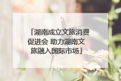 湖南成立文旅消费促进会 助力湖南文旅融入国际市场