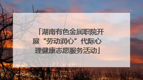 湖南有色金属职院开展“劳动润心”代际心理健康志愿服务活动