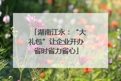 湖南江永：“大礼包”让企业开办省时省力省心