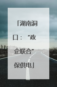 湖南洞口：“政企联合”保供电