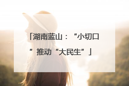 湖南蓝山：“小切口”推动“大民生”