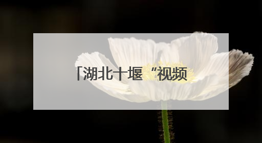 湖北十堰“视频快处”全覆盖 车辆小剐蹭5分钟“云解决”