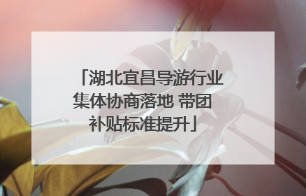 湖北宜昌导游行业集体协商落地 带团补贴标准提升