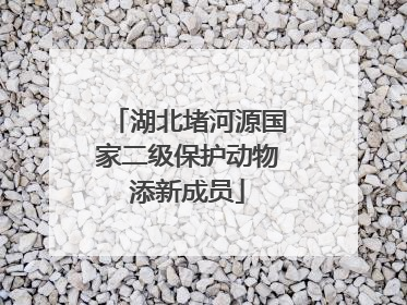 湖北堵河源国家二级保护动物添新成员