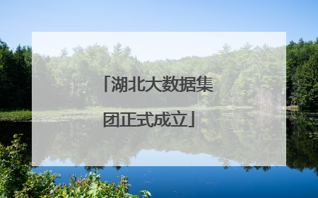 湖北大数据集团正式成立
