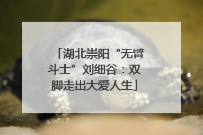 湖北崇阳“无臂斗士”刘细谷：双脚走出大爱人生