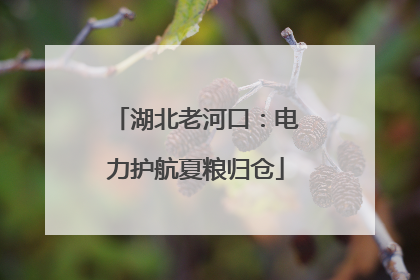 湖北老河口：电力护航夏粮归仓