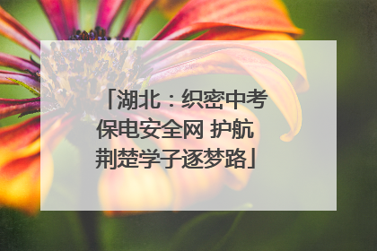 湖北：织密中考保电安全网 护航荆楚学子逐梦路