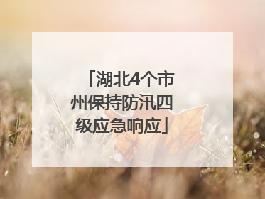 湖北4个市州保持防汛四级应急响应