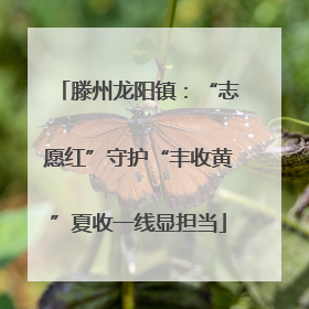 滕州龙阳镇：“志愿红”守护“丰收黄”夏收一线显担当