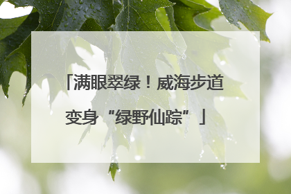 满眼翠绿！威海步道变身“绿野仙踪”