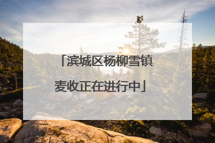 滨城区杨柳雪镇麦收正在进行中