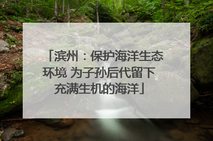滨州：保护海洋生态环境 为子孙后代留下充满生机的海洋