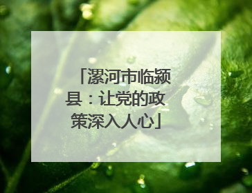 漯河市临颍县：让党的政策深入人心