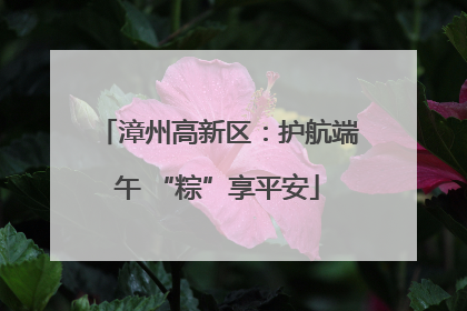 漳州高新区：护航端午 “粽”享平安
