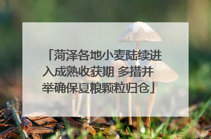 菏泽各地小麦陆续进入成熟收获期 多措并举确保夏粮颗粒归仓