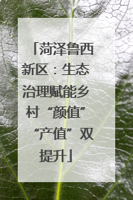 菏泽鲁西新区：生态治理赋能乡村“颜值”“产值”双提升