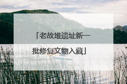 老故堆遗址新一批修复文物入藏