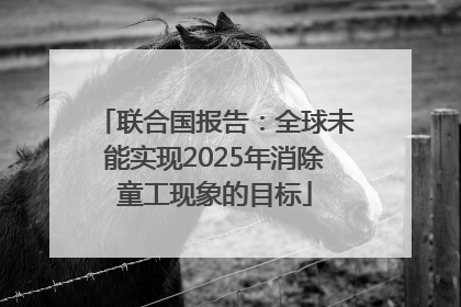 联合国报告：全球未能实现2025年消除童工现象的目标