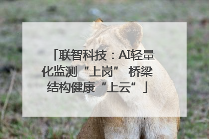 联智科技：AI轻量化监测“上岗” 桥梁结构健康“上云”