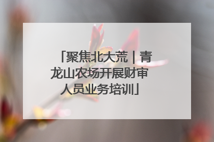 聚焦北大荒｜青龙山农场开展财审人员业务培训
