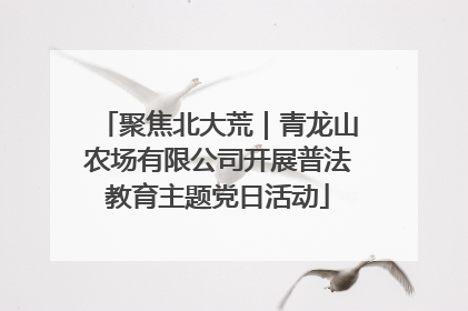 聚焦北大荒｜青龙山农场有限公司开展普法教育主题党日活动