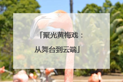 聚光黄梅戏：从舞台到云端